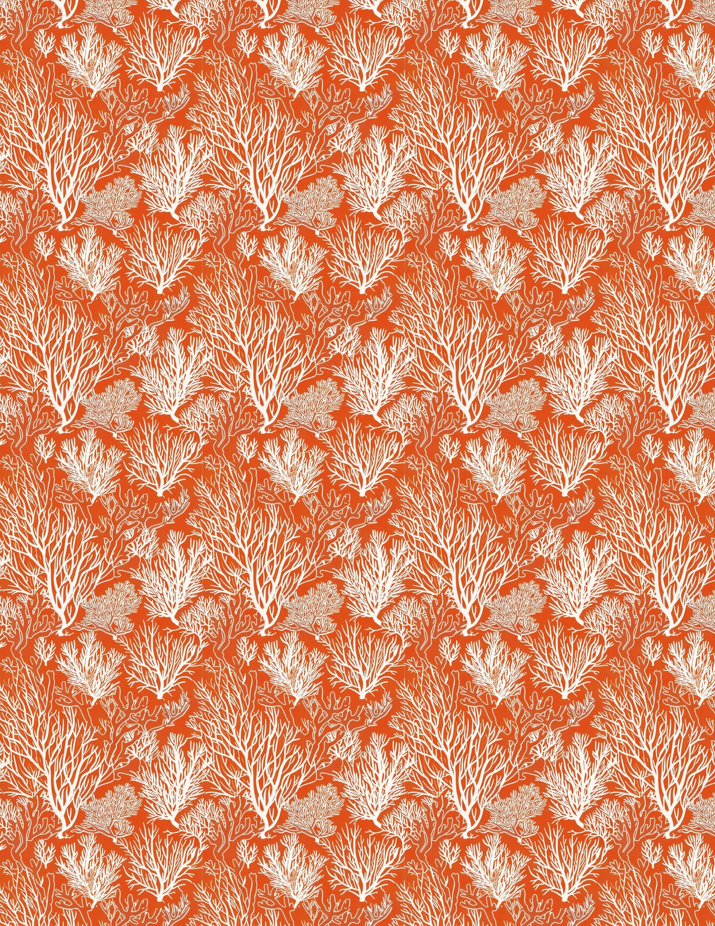 Coral Transfer Sheets / Transfer Sheets / Water Clay Transfer Sheets