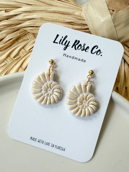 Spiral Shells