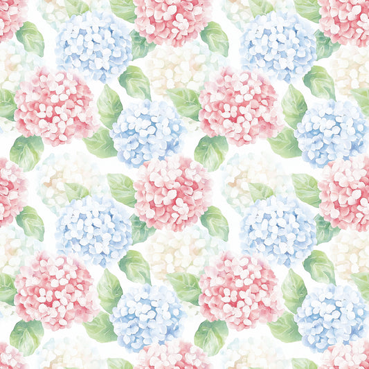 Transfer Sheets 21