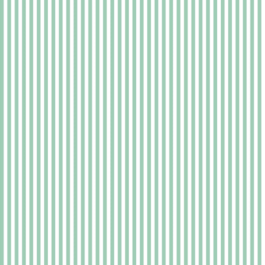 Green Transfer Sheets /Transfer sheets / Tools for Clay