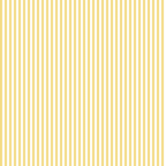 Yellow Clay Transfer Sheets / Transfer sheets / Tools for Clay