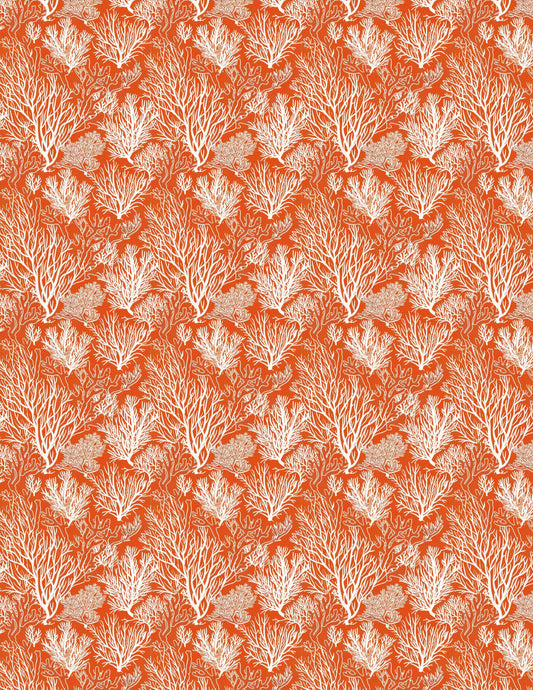 Coral Transfer Sheets / Transfer Sheets / Water Clay Transfer Sheets